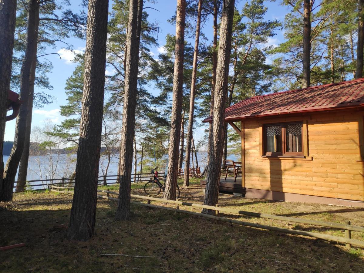 Zakatek Wdzydze -domek Nr 7 W Pierwszej Linii Od Jeziora Borsk