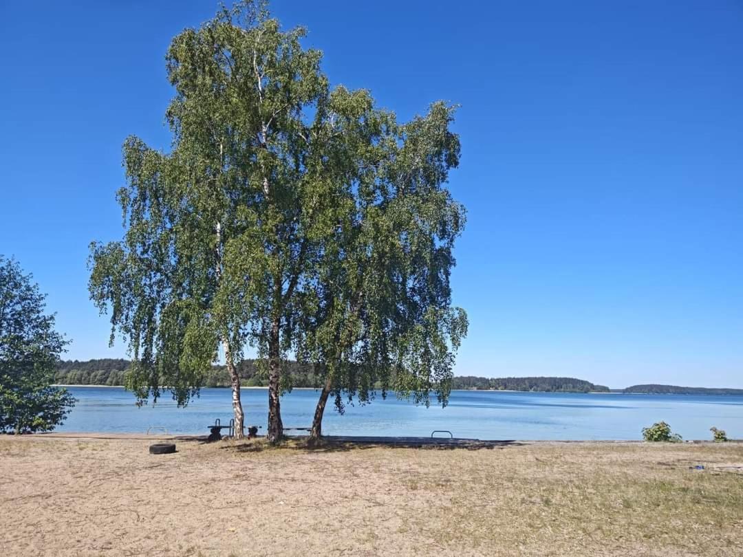 Zakatek Wdzydze -domek Nr 7 W Pierwszej Linii Od Jeziora