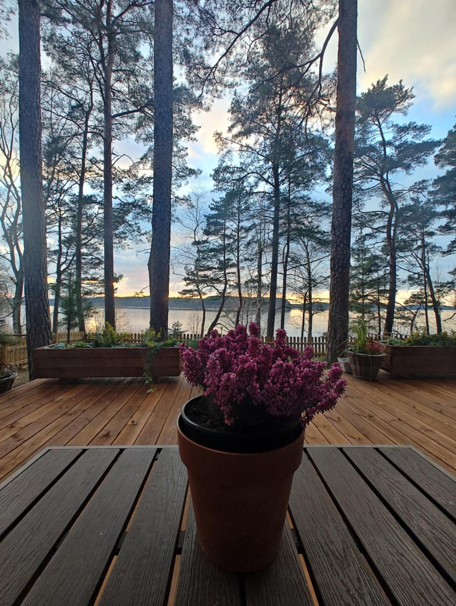 Zakatek Wdzydze -domek Nr 7 W Pierwszej Linii Od Jeziora * Borsk